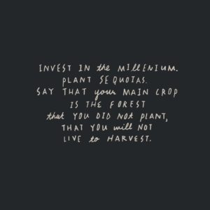 Poem part 6