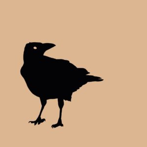 Songs that are to come